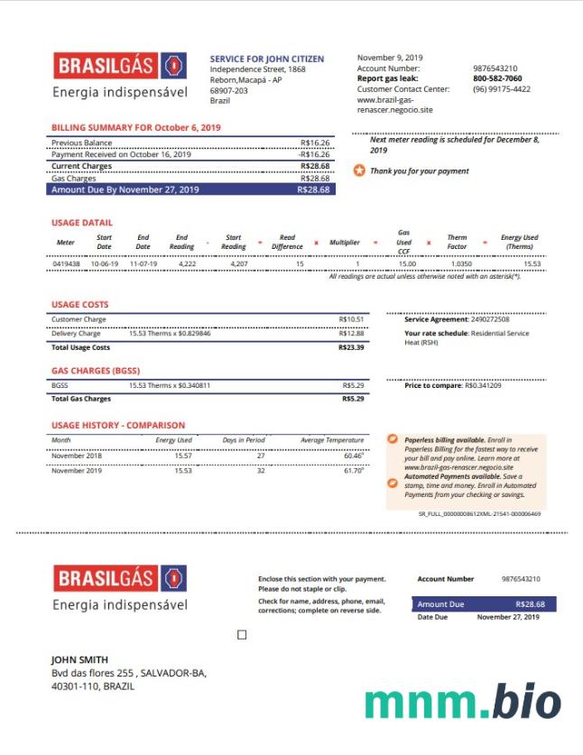 Szablon rachunku za gaz w Brazylii w formacie Word i PDF